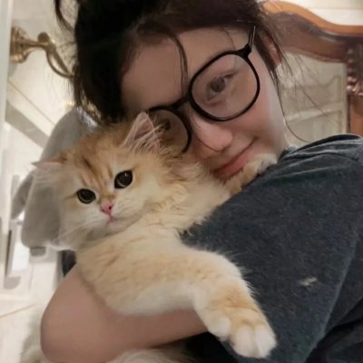 猫贼